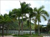 Dos Bocas Lake - UTUADO